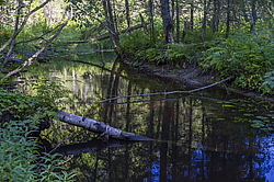 ����������� �������. ���� ������, �������� ������� �����