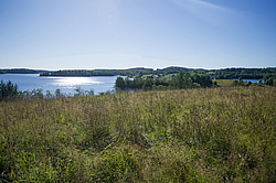 ����������� �������. ����������� ���������� - ����������