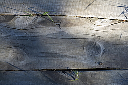 ����������� �������. ����������� ���������� - ����������