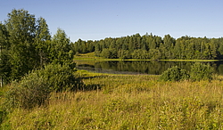 ����������� �������. ����������� ���������� - ����������