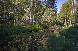 ����������� �������. ����������� ���������� - ����������, ���� ������� �����