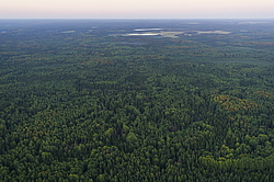 ����������� ������������ ����, ����������. ������� ( ������������ ����)