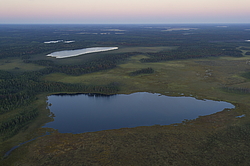 ����������� ������������ ����, ����������. ������� ( ������������ ����)