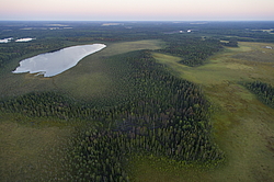 ����������� ������������ ����, ����������. ������� ( ������������ ����)