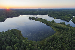 ����������� ������������ ����, ����������. ������� ( ������������ ����)