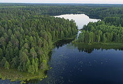 ����������� ������������ ����, ����������. ������� ( ������������ ����)