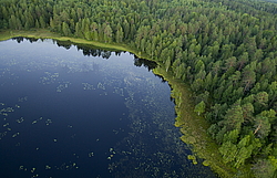 ����������� ������������ ����, ����������. ������� ( ������������ ����)