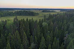 ����������� ������������ ����, ����������. ������� ( ������������ ����)