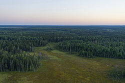 ����������� ������������ ����, ����������. ������� ( ������������ ����)