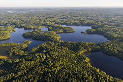 ����������� �������, ������ ��������������. ��������, �� ���������