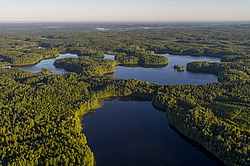 ����������� �������, ������ ��������������. ��������, �� ���������