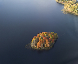 ����������� �������, ������� ��������������. ����������