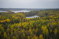 ����������� �������, ������� ��������������. ����������