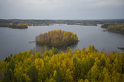 ����������� �������, ������� ��������������. ����������