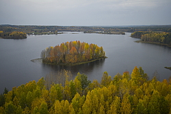 ����������� �������, ������� ��������������. ����������