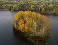 ����������� �������, ������� ��������������. ����� �������