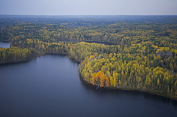 ����������� �������, ������� ��������������. ����������