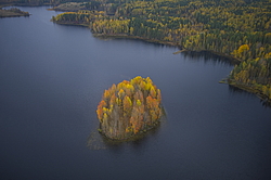 ����������� �������, ������� ��������������. ����������