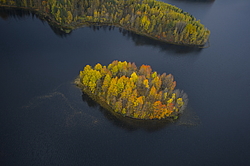 ����������� �������, ������� ��������������. ����������