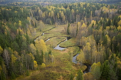 ����������� �������, ������� ��������������. ���� ��������.