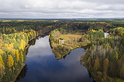 ����������� �������, ������� ��������������. ���� ������