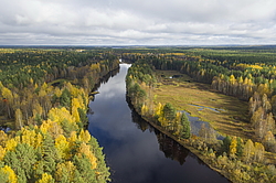 ����������� �������, ������� ��������������. ���� ������