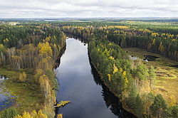 ����������� �������, ������� ��������������. ���� ������