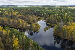 ����������� �������, ������� ��������������. ���� ������