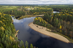 ����������� �������, ������� ��������������. ���� ������