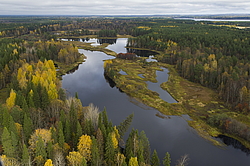 ����������� �������, ������� ��������������. ���� ������