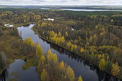 ����������� �������, ������� ��������������. ���� ������