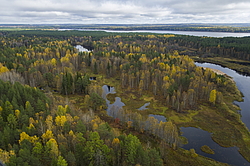 ����������� �������, ������� ��������������. ���� ������