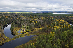 ����������� �������, ������� ��������������. ���� ������