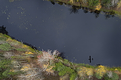 ����������� �������, ������� ��������������. ���� ������