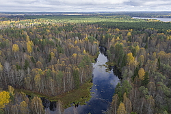 ����������� �������, ������� ��������������. ���� ������