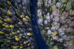 ����������� �������, ������� ��������������. ���� ��������.