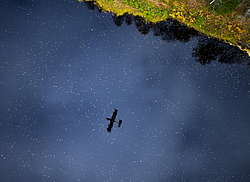 ����������� �������, ������� ��������������. ���� ������