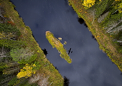 ����������� �������, ������� ��������������. ���� ������