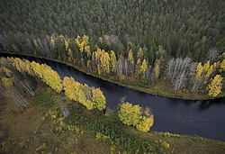 ����������� �������, ������� ��������������. ���� �����