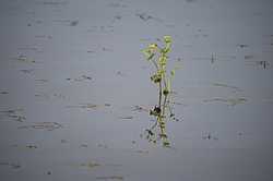 ���������� '�� ���������� ������� �������� ������'. ����������� �������, ���� �� ��������� ����� � ����� ���� ������, ������� ���� � ��������