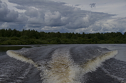 ���������� '�� ���������� ������� �������� ������'. ����������� ������� �� ������ �� ������ �� ������