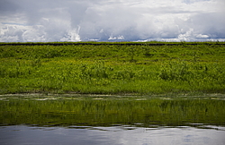 ���������� '�� ���������� ������� �������� ������'. ����������� ������� �� ������ �� ������ �� ������