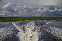 ���������� '�� ���������� ������� �������� ������'. ����������� ������� �� ������ �� ������ �� ������