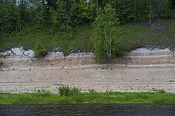 ���������� '�� ���������� ������� �������� ������'. ����������� �������. �� ��������� �� �����