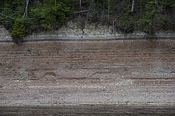 ���������� '�� ���������� ������� �������� ������'. ����������� �������. �� ��������� �� �����