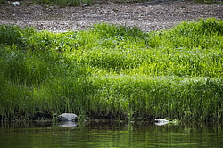 ���������� '�� ���������� ������� �������� ������'. ����������� �������. �� ��������� �� �����