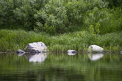 ���������� '�� ���������� ������� �������� ������'. ����������� �������. �� ��������� �� �����