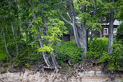 ���������� '�� ���������� ������� �������� ������'. ����������� �������. �� ��������� �� �����