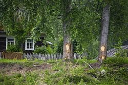 ���������� '�� ���������� ������� �������� ������'. ����������� �������. �� ��������� �� �����