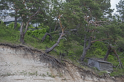 ���������� '�� ���������� ������� �������� ������'. ����������� �������. �� ��������� �� �����